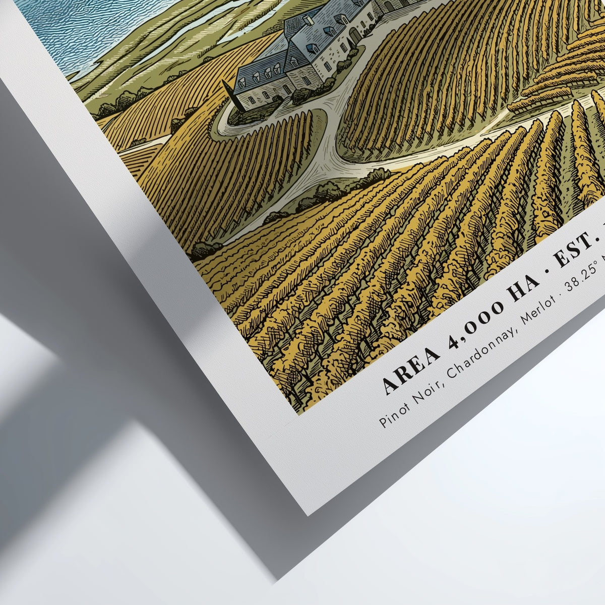 Poster of Carneros California vineyard landscape with rows of vines and stone estate
