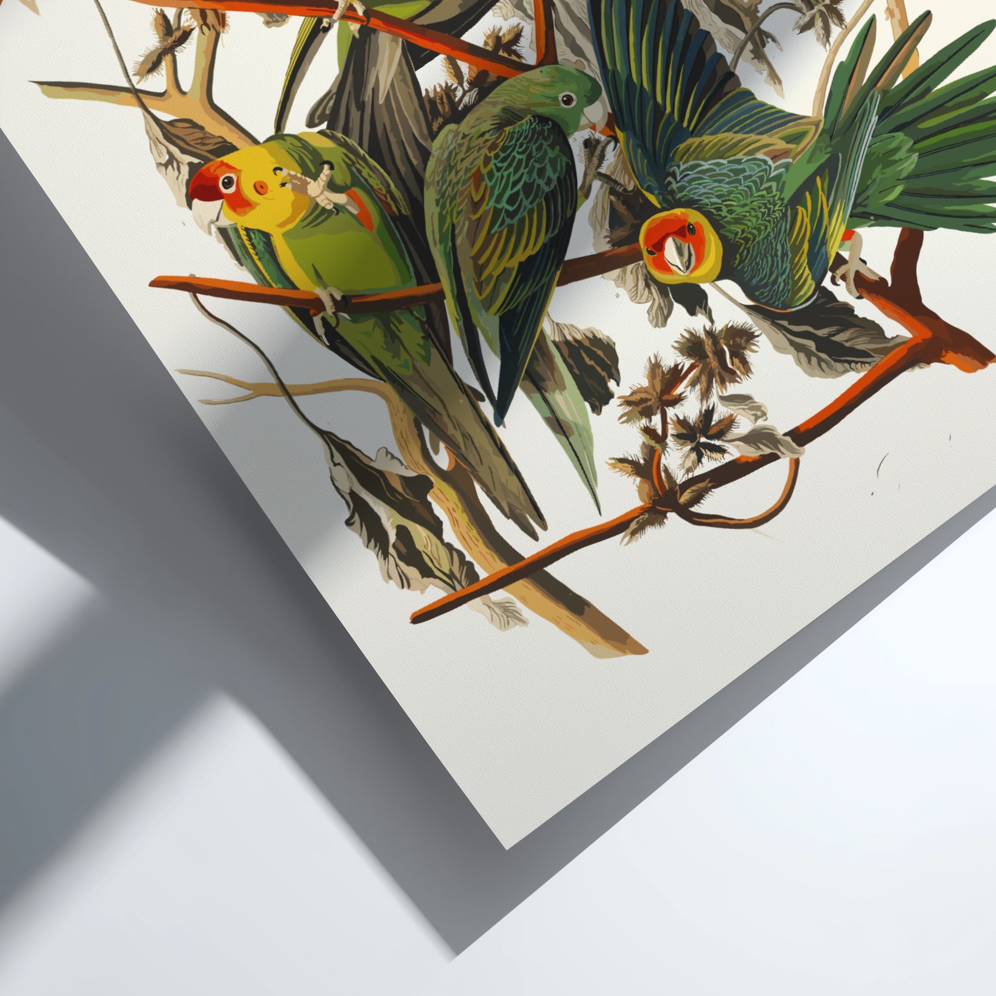 Carolina Parrot poster featuring vibrant green and red birds in a vintage style, perfect for bird lovers and
