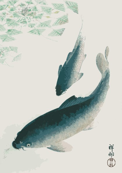 Poster of Ohara Koson's Japanese art print featuring two carp or koi fish swimming in water with green lily