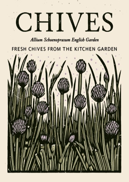 Chives kitchen poster featuring botanical illustration in green and purple tones, perfect for wall decor.