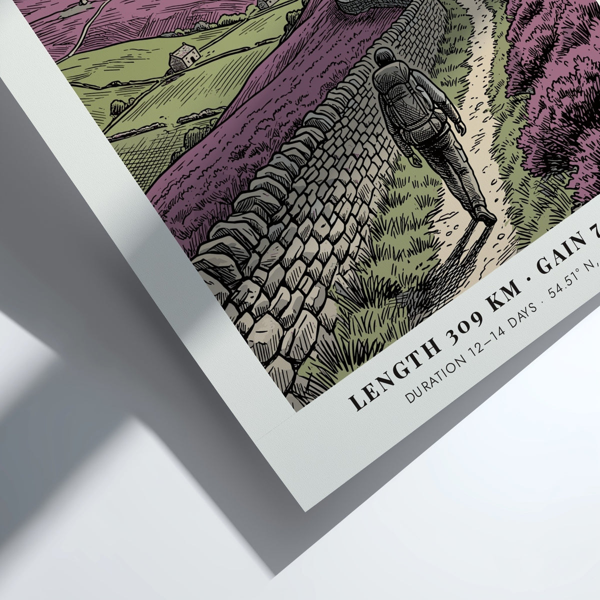 Poster featuring a hiker on the Coast to Coast path through purple heather.
