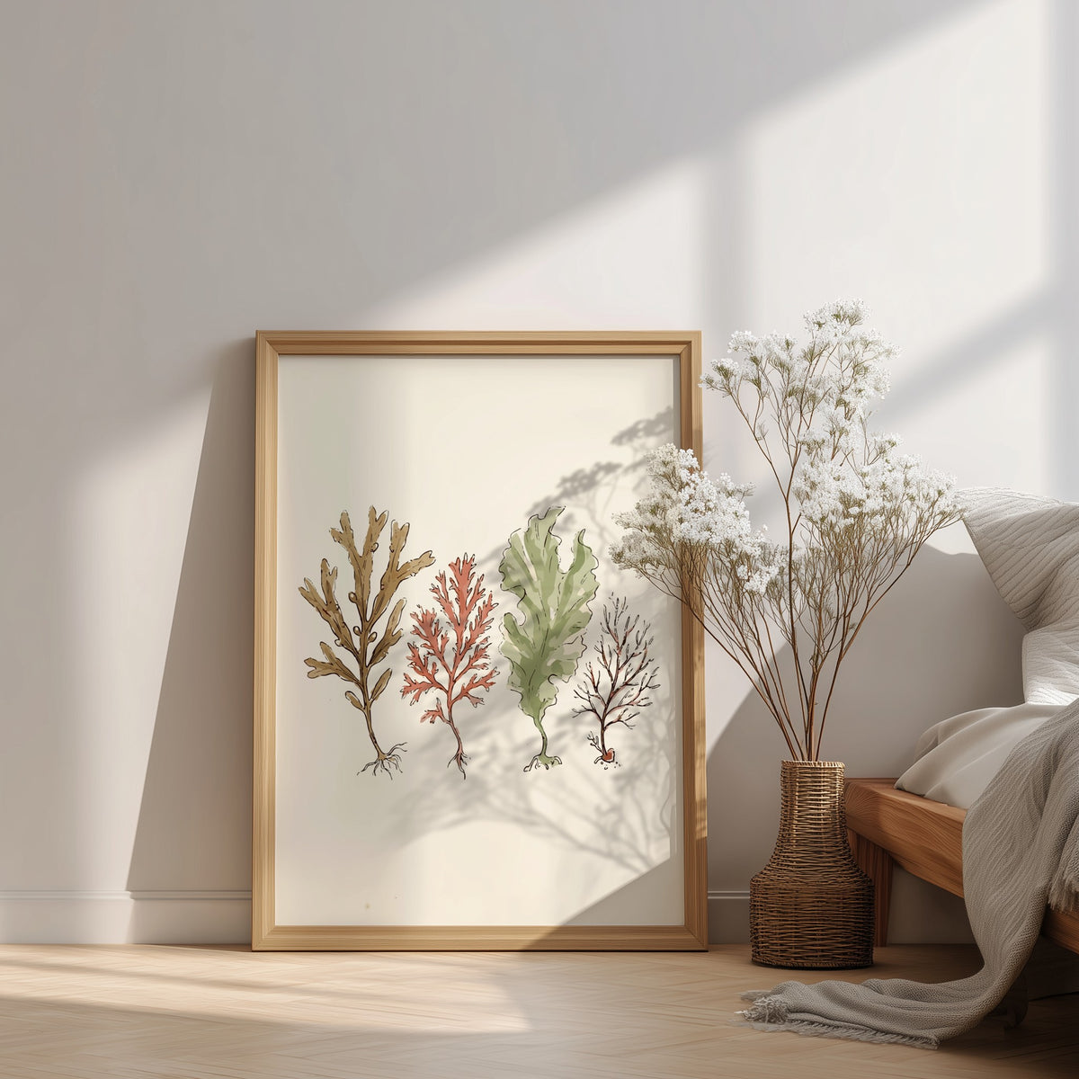 Poster featuring four detailed seaweed specimens in shades of brown, red, and sage green.