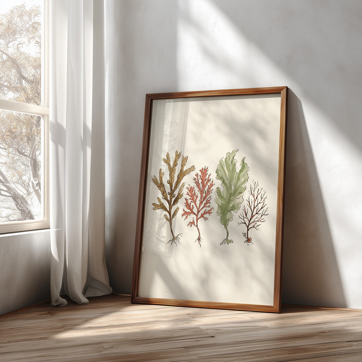 Poster featuring four detailed seaweed specimens in shades of brown, red, and sage green.