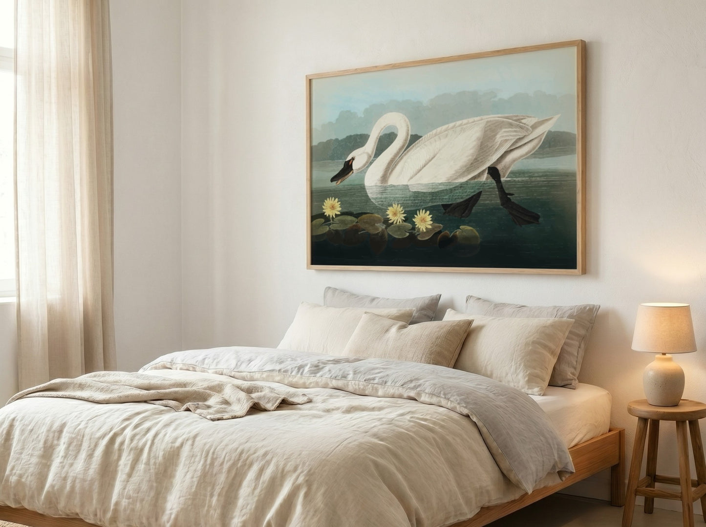 Common American Swan poster featuring elegant white swan and serene water scene, nature art print for wall