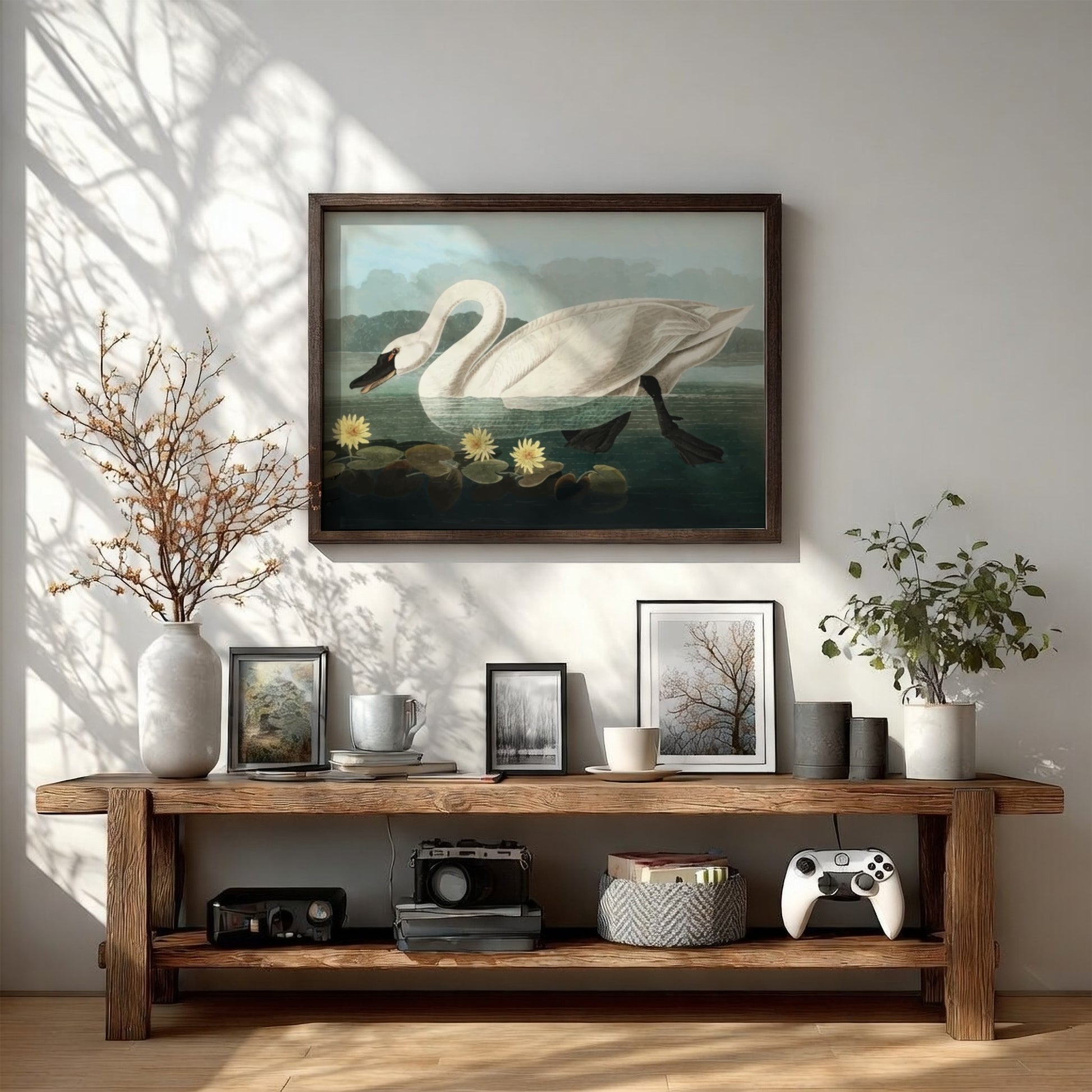 Common American Swan poster featuring elegant white swan and serene water scene, nature art print for wall