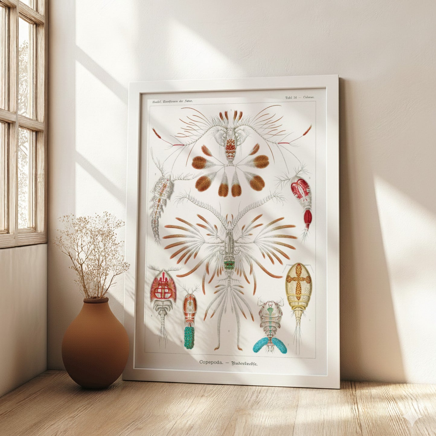 Vintage scientific illustration poster of various Copepoda sea creatures by Ernst Haeckel.