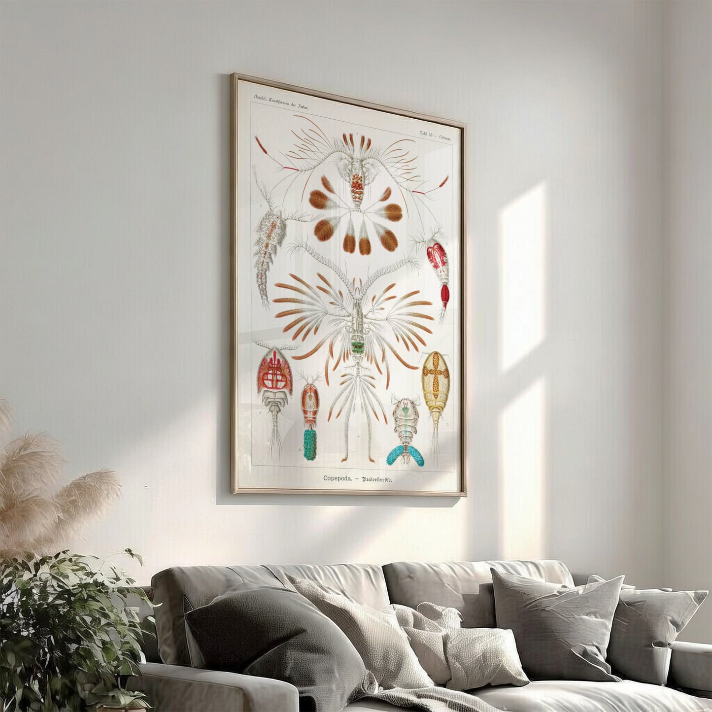 Vintage scientific illustration poster of various Copepoda sea creatures by Ernst Haeckel.