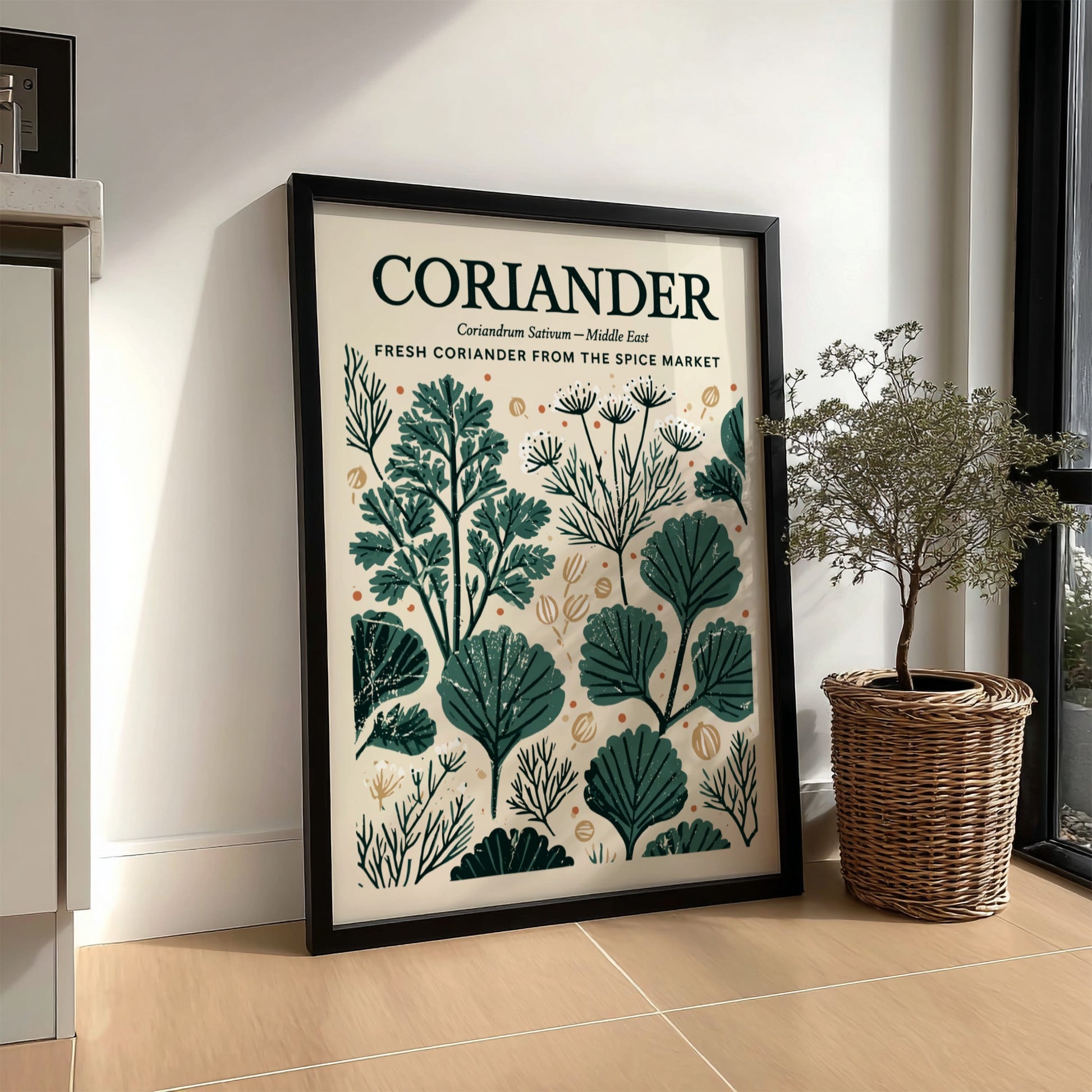 Kitchen poster featuring coriander illustrations in green tones, botanical style, perfect for decor