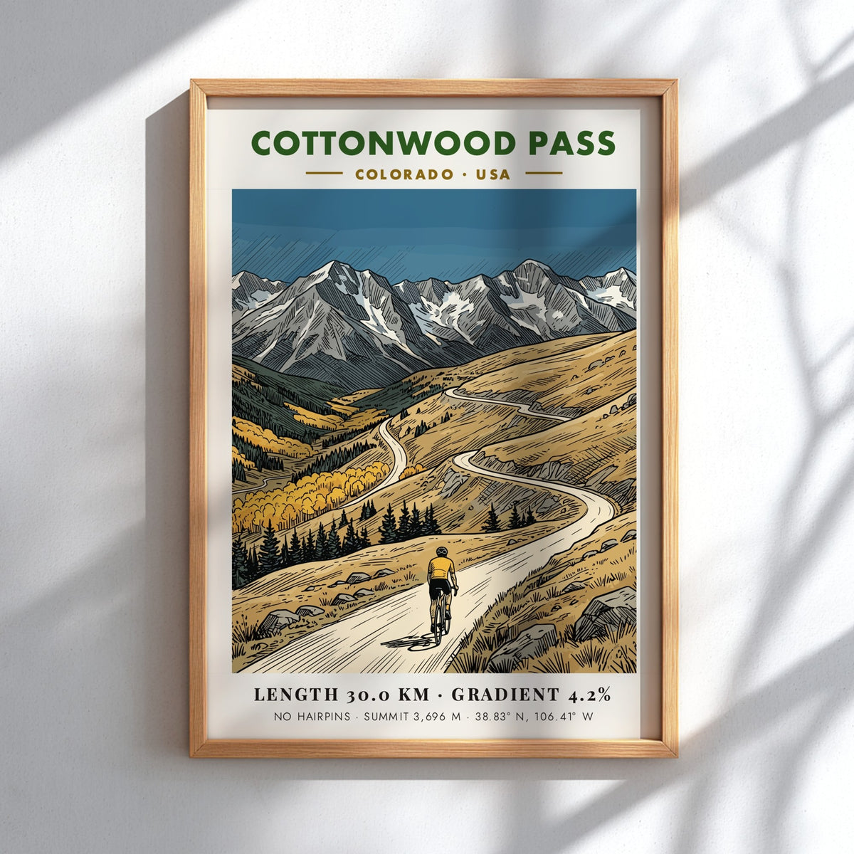 Poster of a cyclist climbing Cottonwood Pass with Colorado mountains and golden aspen trees.