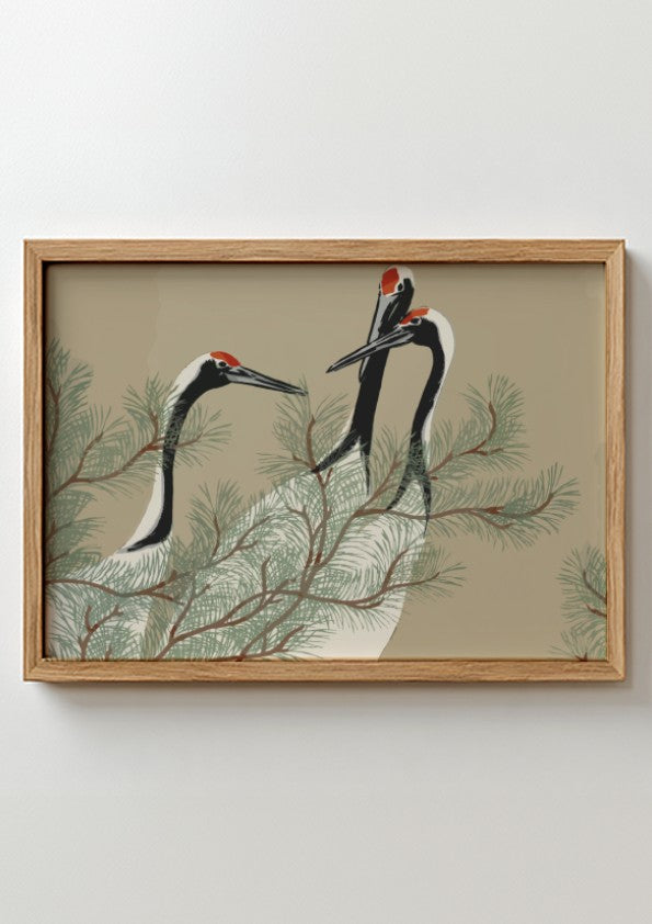 A framed drawing titled 'Cranes (1909)' by Kamisaka Sekka, featuring three cranes amidst pine branches in a