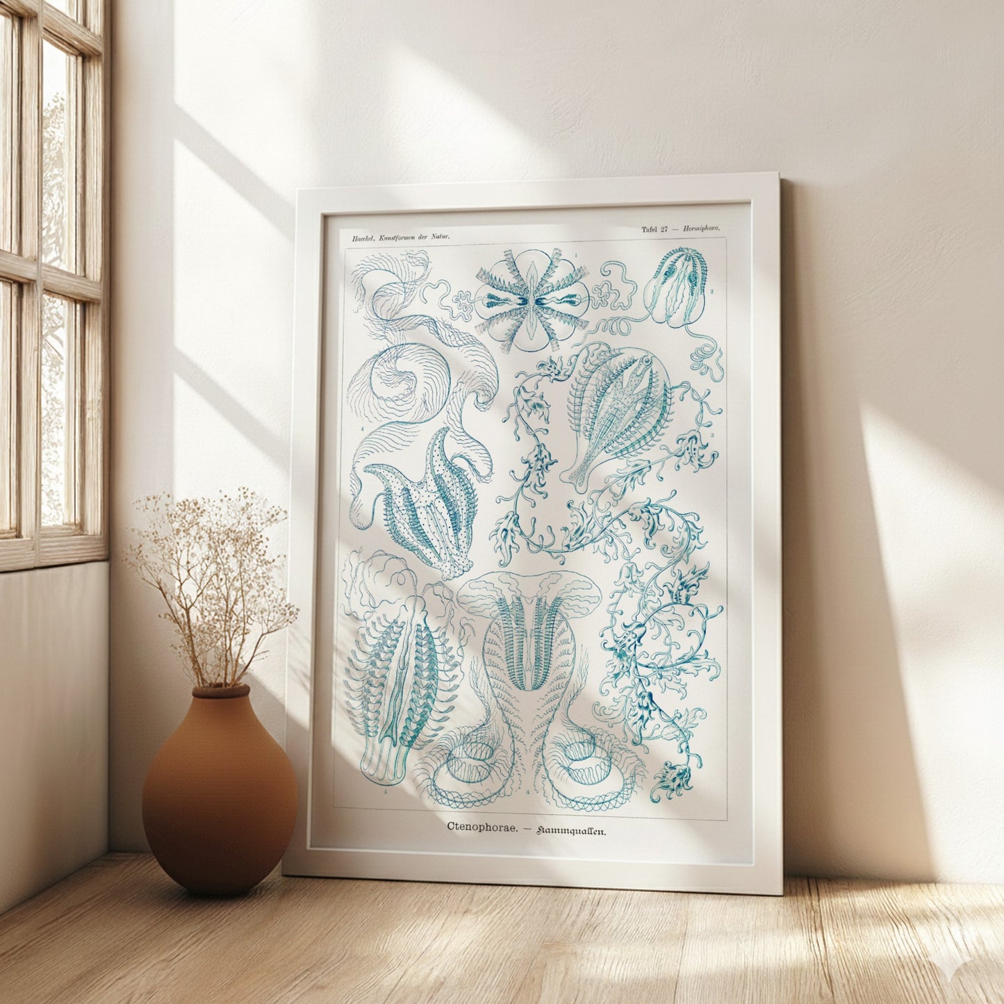 Vintage Ctenophorae Kammquallen poster featuring detailed blue linework illustrations of marine life by Ernst