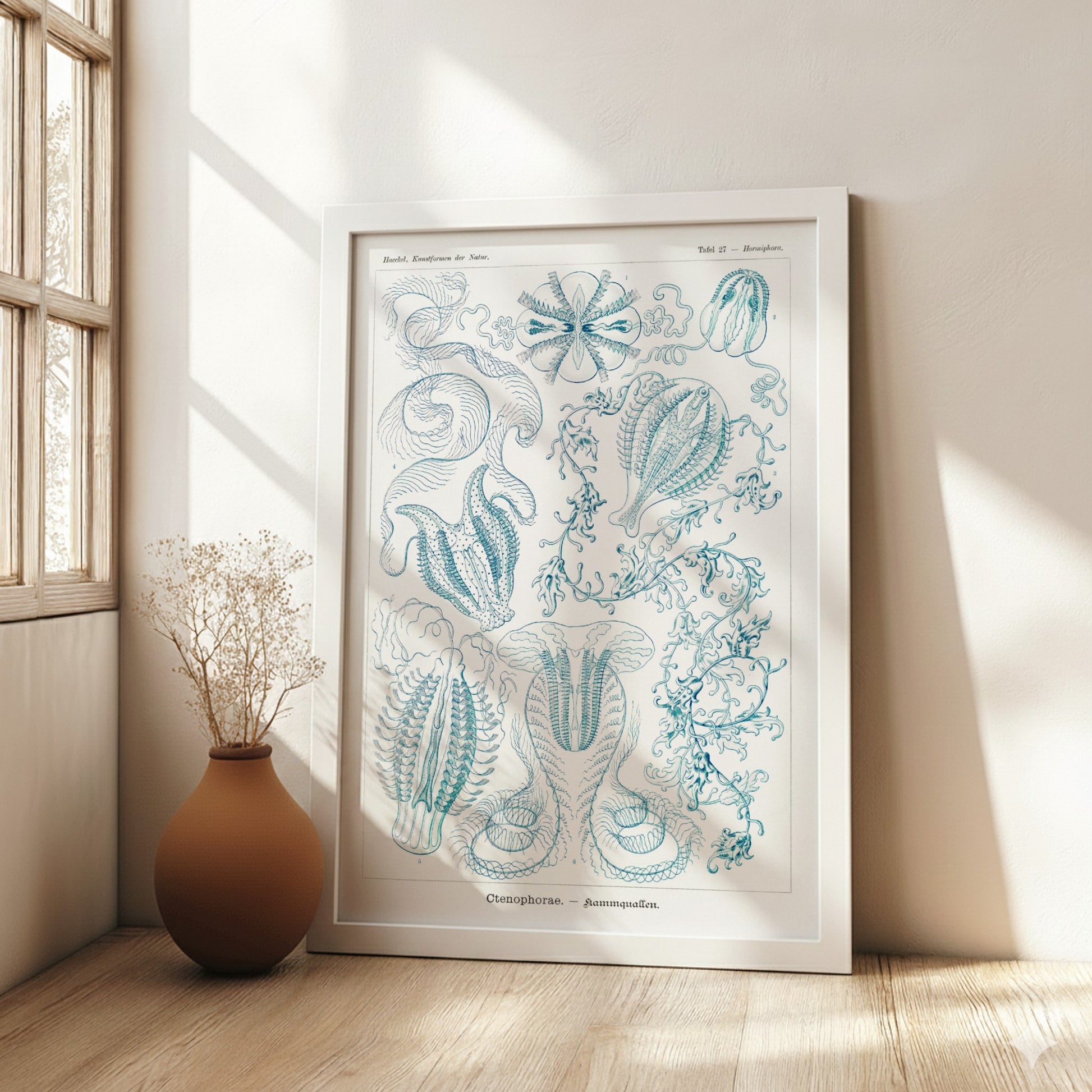 Vintage Ctenophorae Kammquallen poster featuring detailed blue linework illustrations of marine life by Ernst