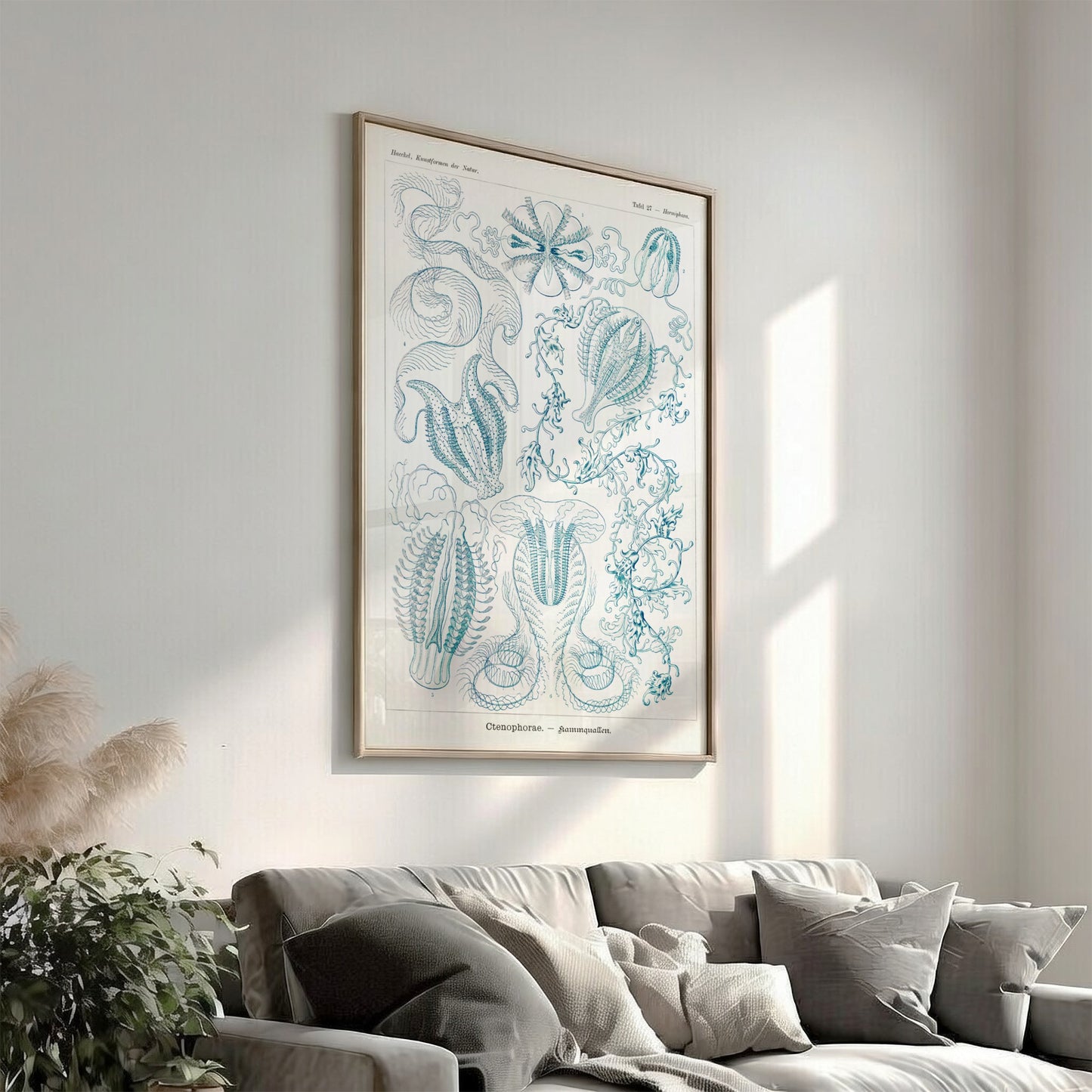 Vintage Ctenophorae Kammquallen poster featuring detailed blue linework illustrations of marine life by Ernst