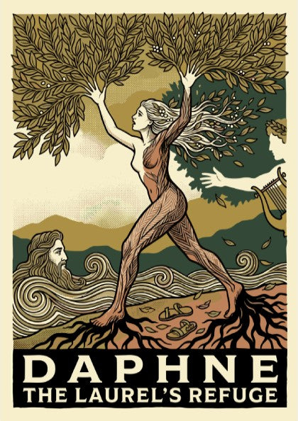 Daphne Greek mythology poster in linocut style, featuring the nymph transforming into a laurel tree.