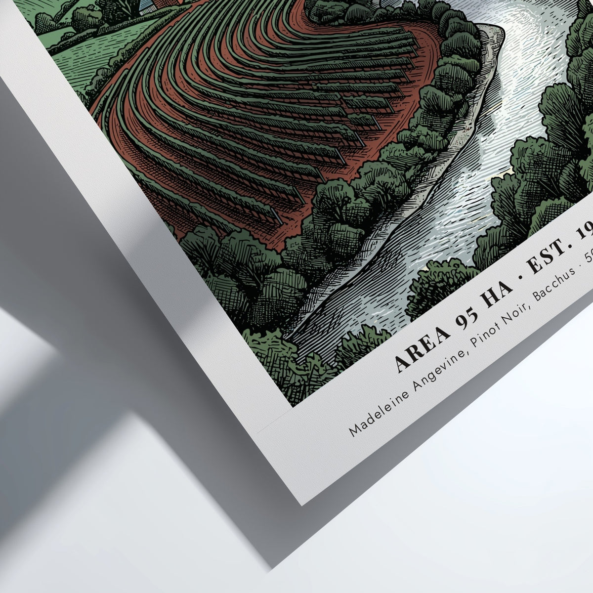 Poster featuring the rolling hills, vineyard rows, and river of Dart Valley England.