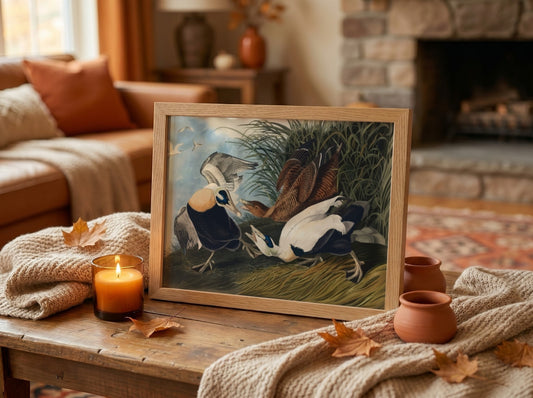 Eider Duck art poster featuring detailed birds in natural colors, perfect for nature-themed wall decor.