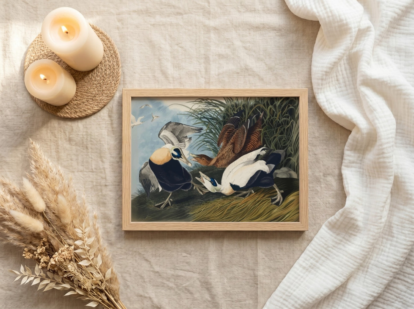 Eider Duck art poster featuring detailed birds in natural colors, perfect for nature-themed wall decor.