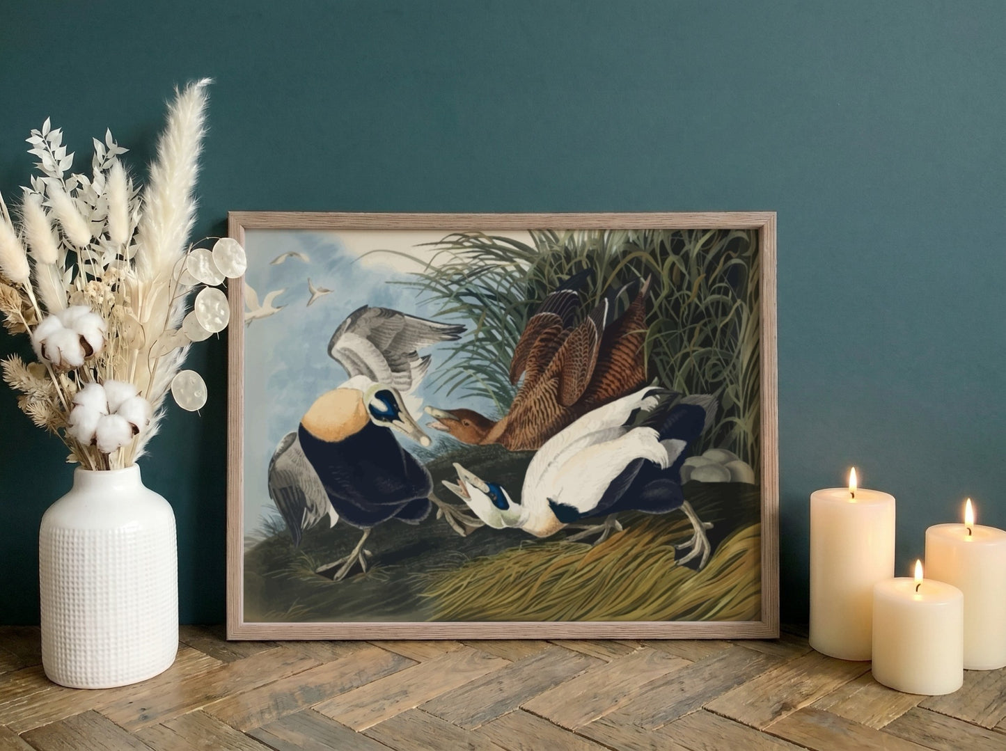 Eider Duck art poster featuring detailed birds in natural colors, perfect for nature-themed wall decor.