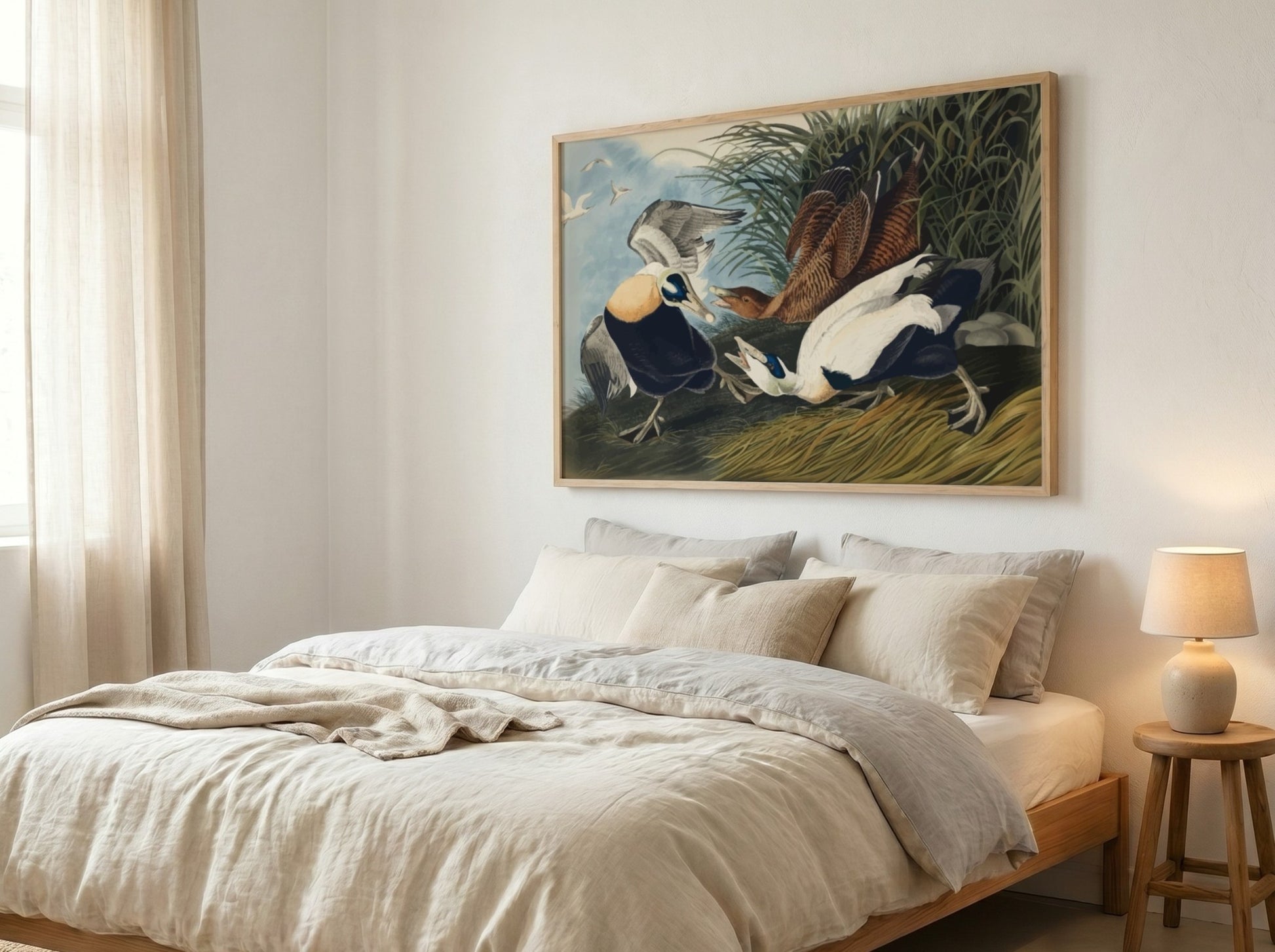 Eider Duck art poster featuring detailed birds in natural colors, perfect for nature-themed wall decor.
