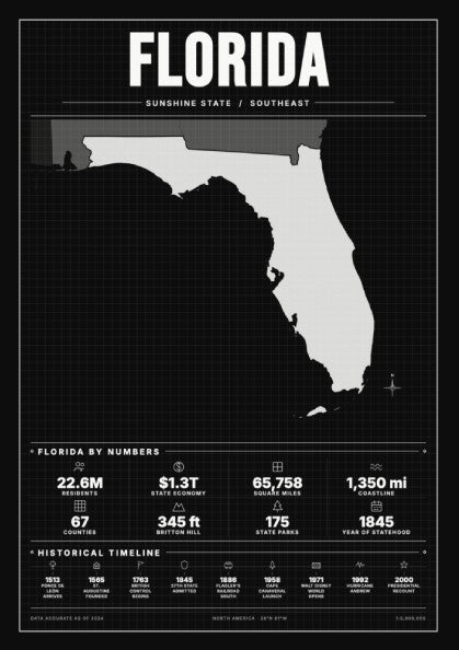 Florida USA states poster featuring vintage map design in muted colors, perfect for wall decor and gifts