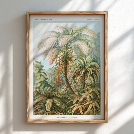 Famous art poster featuring a vintage botanical illustration of various ferns and palm-like plants in earthy