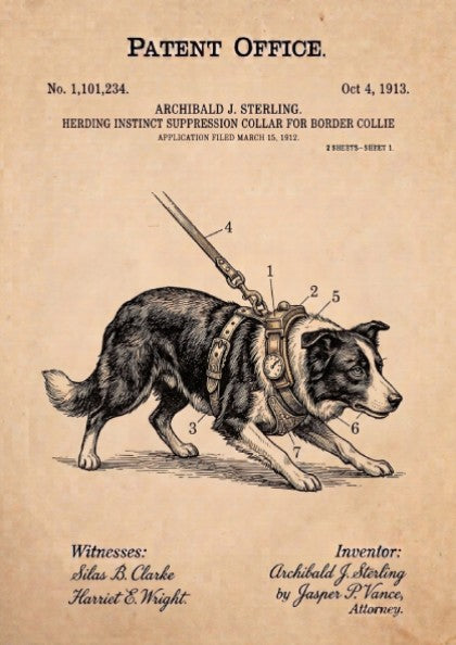 Funny patent poster showing a Border Collie wearing a mechanical herding suppression collar harness.