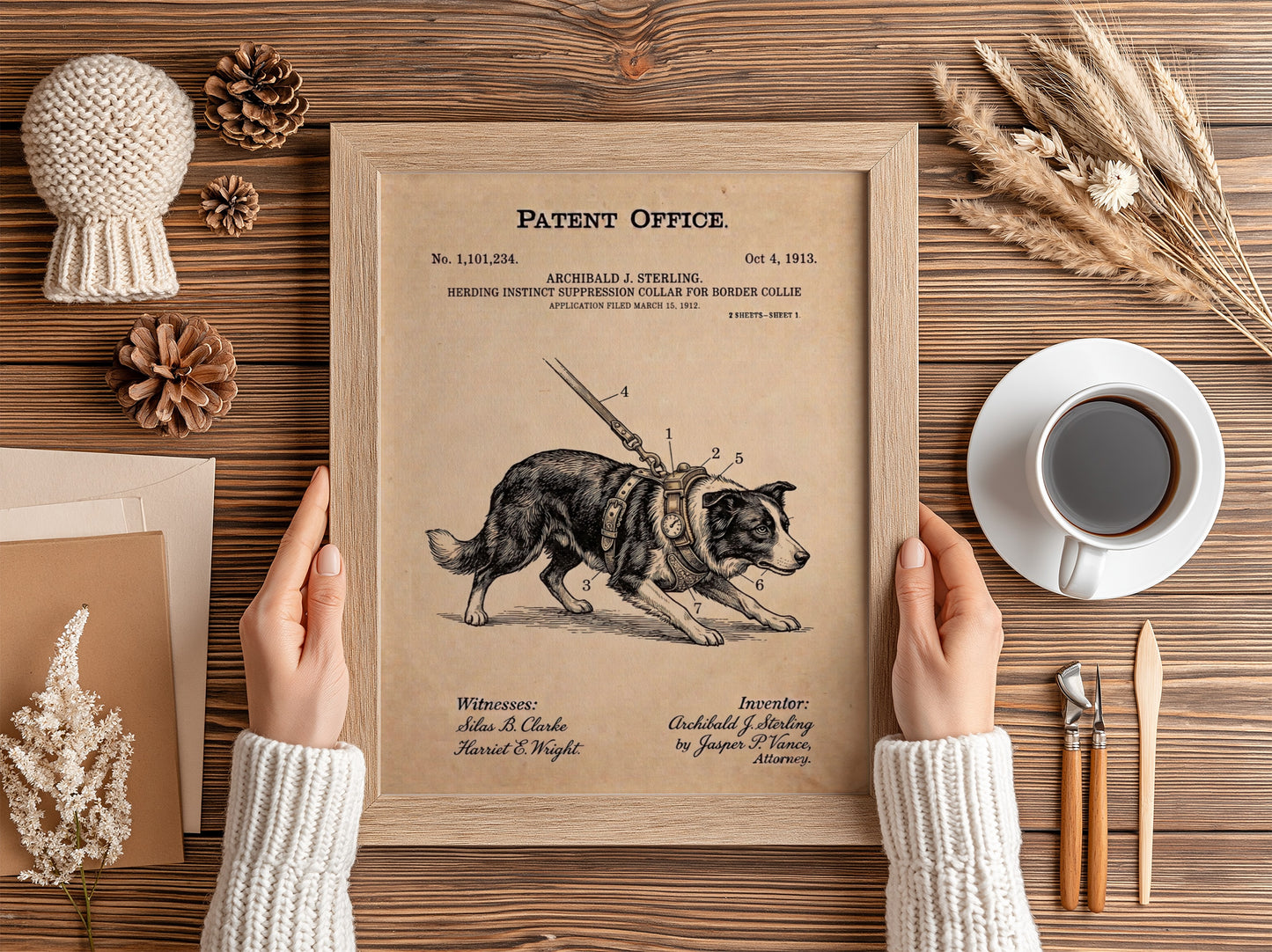 Funny patent poster showing a Border Collie wearing a mechanical herding suppression collar harness.