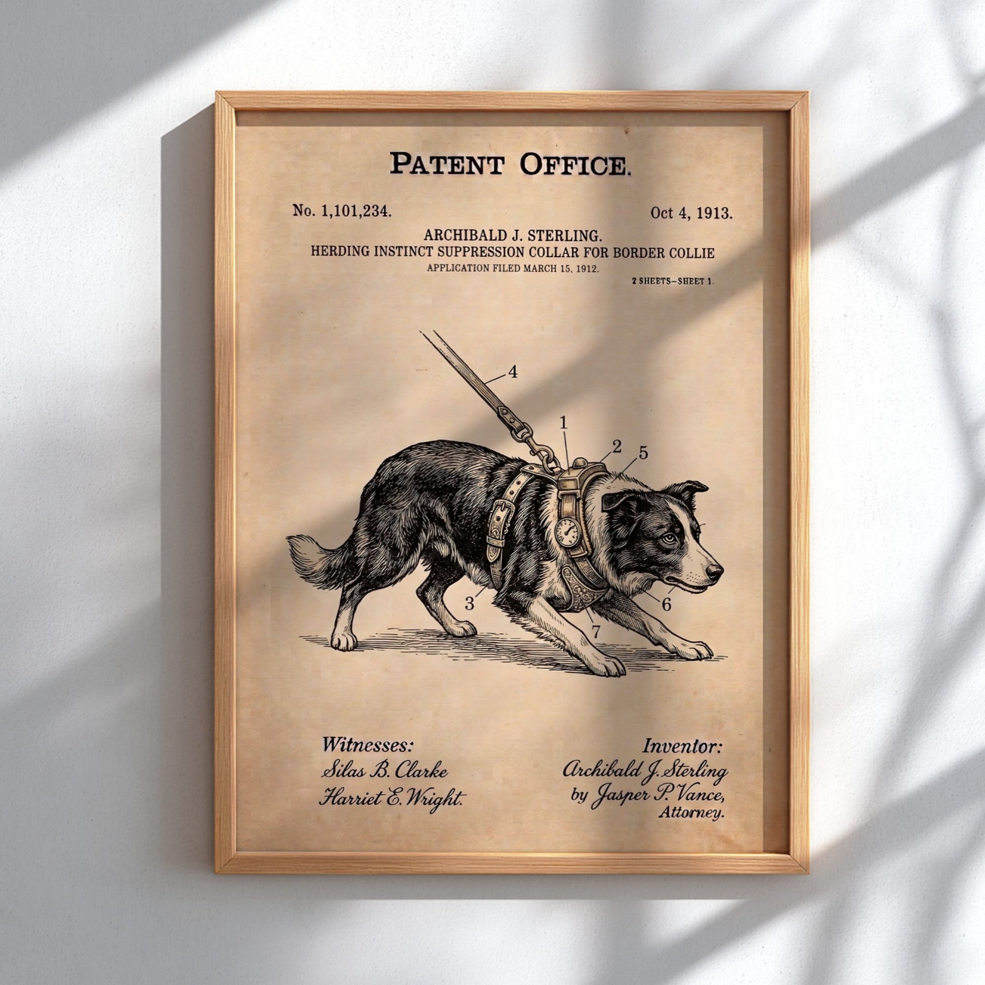 Funny patent poster showing a Border Collie wearing a mechanical herding suppression collar harness.