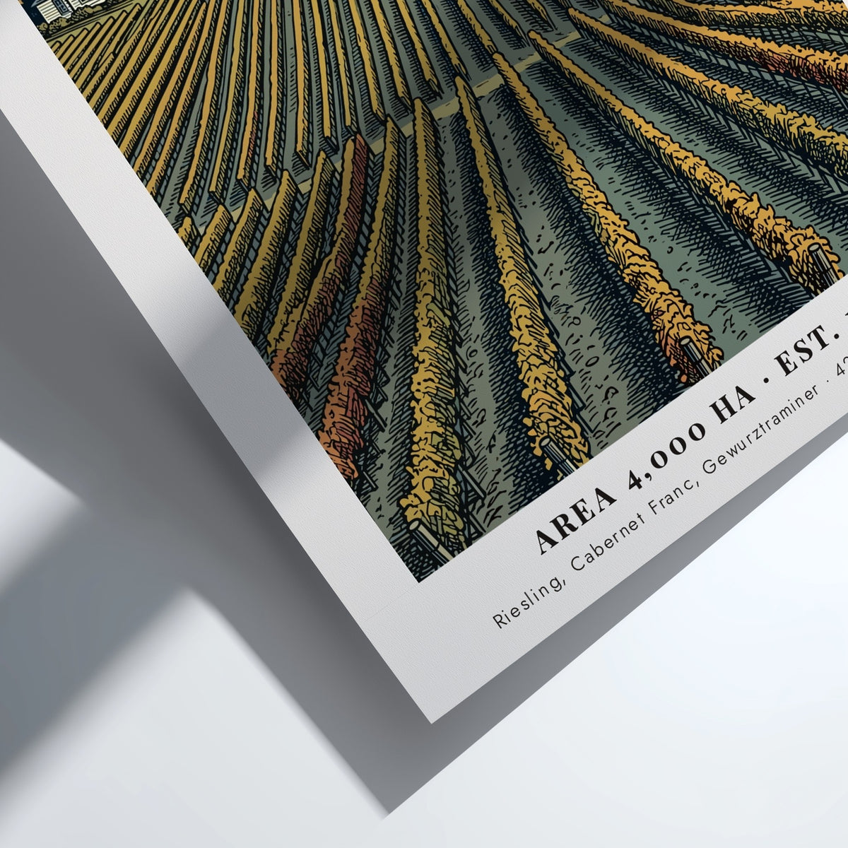 Poster of Finger Lakes vineyard in New York with rows of grapevines and farmhouse.