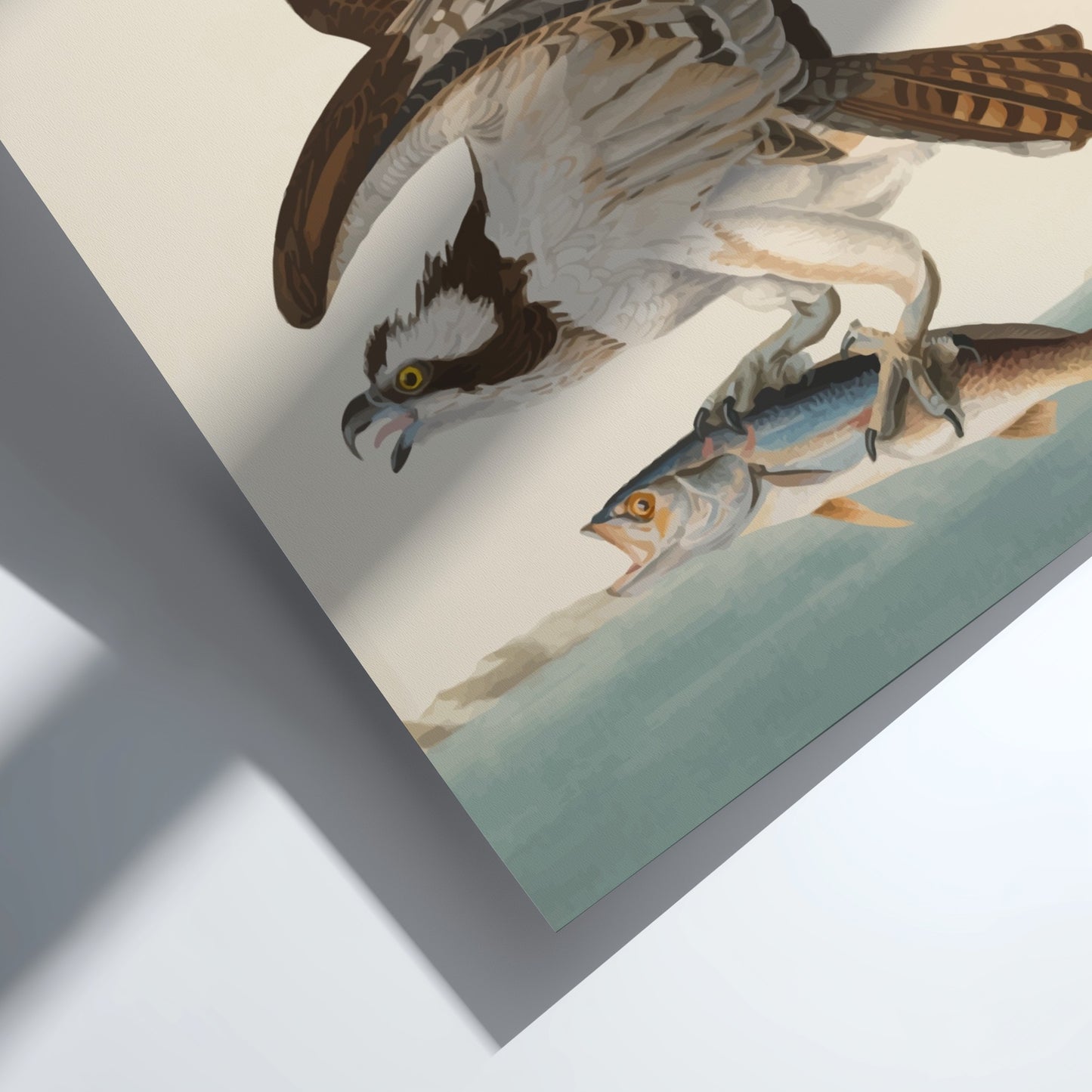 Osprey art poster featuring a bird in flight with a fish, vintage style, nature wall decor