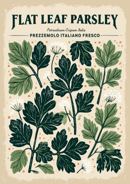 Kitchen poster featuring flat leaf parsley in rich green tones, botanical style, perfect for kitchen decor.