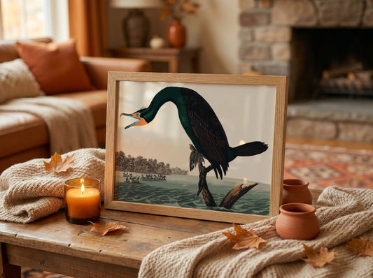 Florida cormorant poster featuring vintage bird art in rich colors and detailed design