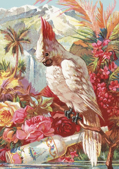 Vintage Florida Water chromolithograph poster featuring a white cockatoo bird, tropical flowers, and a