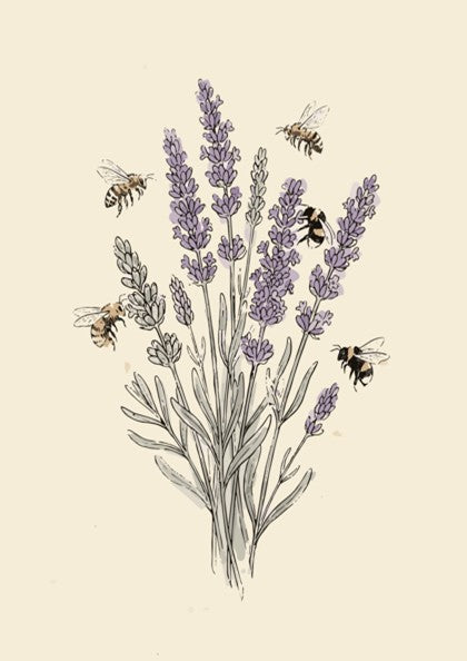 Poster featuring lavender stems and flying honeybees in a soft, sketched botanical art style.