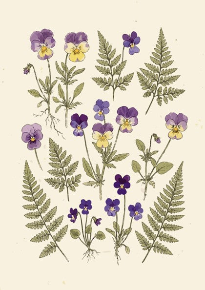 Botanical poster featuring purple pansy flowers and green fern fronds on cream background