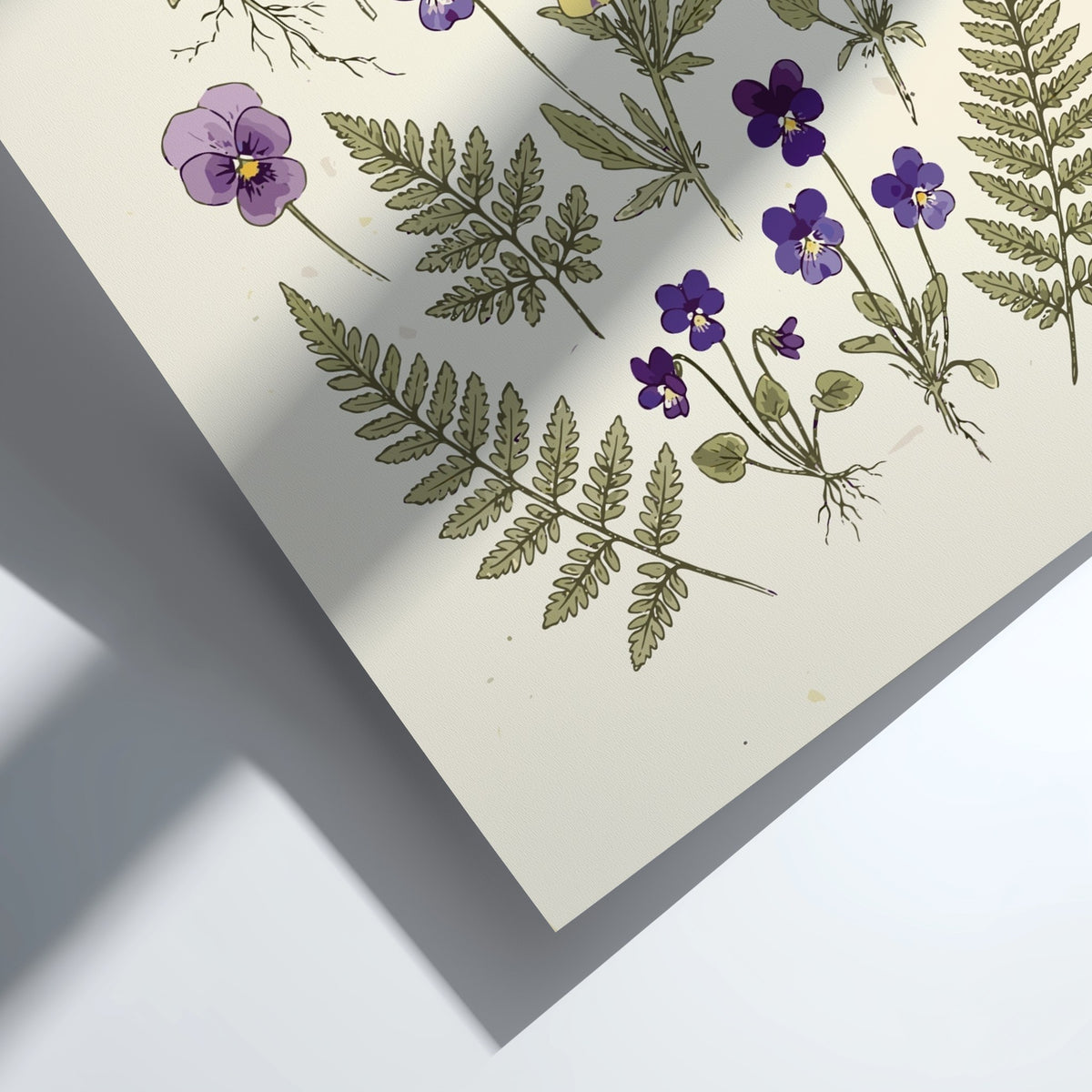 Botanical poster featuring purple pansy flowers and green fern fronds on cream background