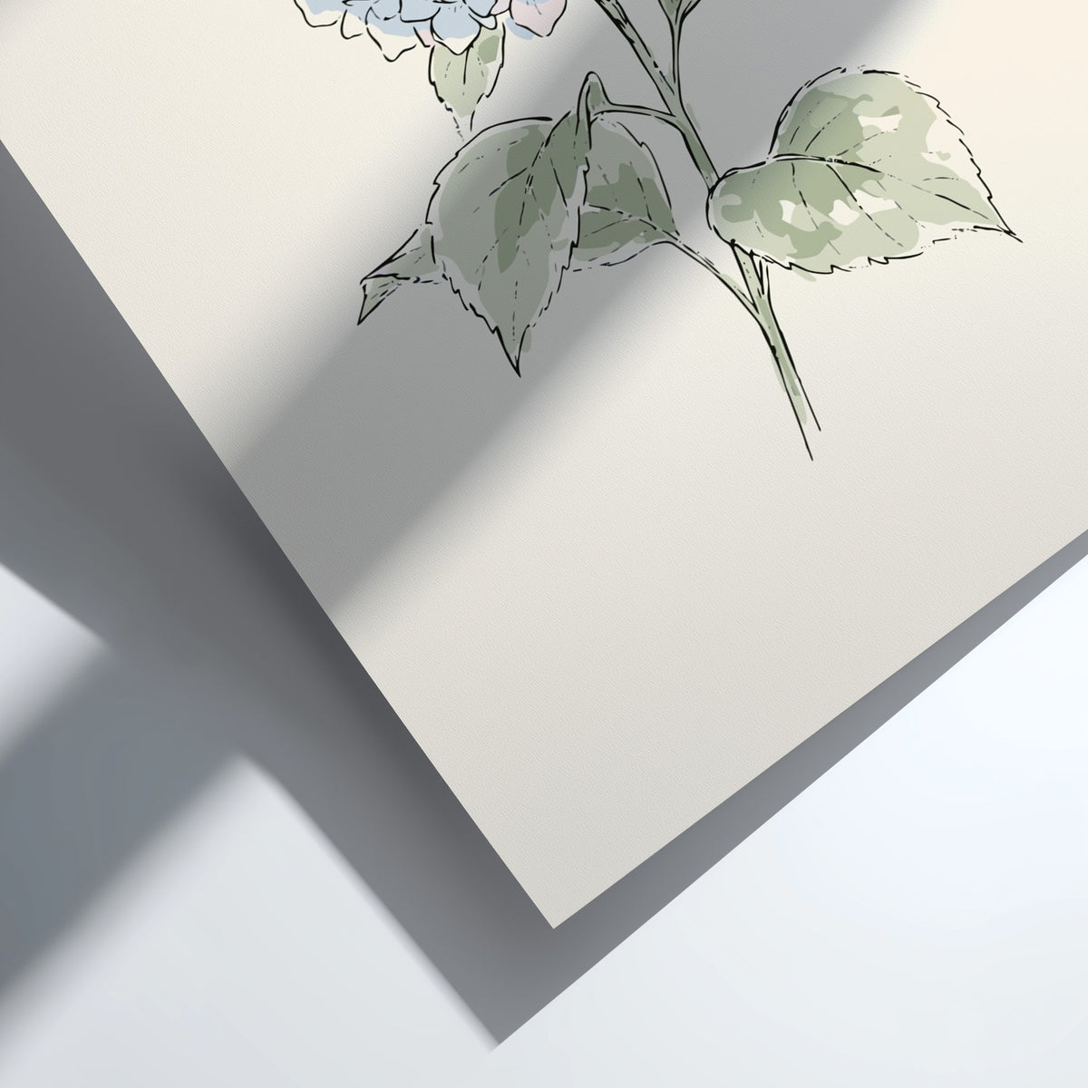 Hydrangea botanical illustration poster featuring soft blue and pink petals on a cream background.