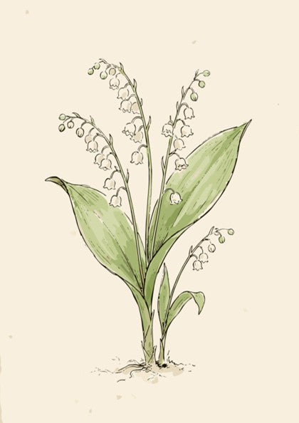 Poster featuring a delicate lily of the valley illustration with white bell-shaped flowers.