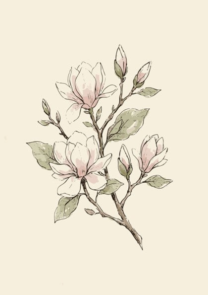Magnolia blossom botanical poster with soft blush flowers and sage leaves on cream background.