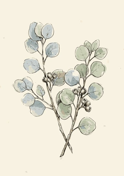 Eucalyptus botanical poster featuring soft sage and dusty blue leaves on cream background paper.
