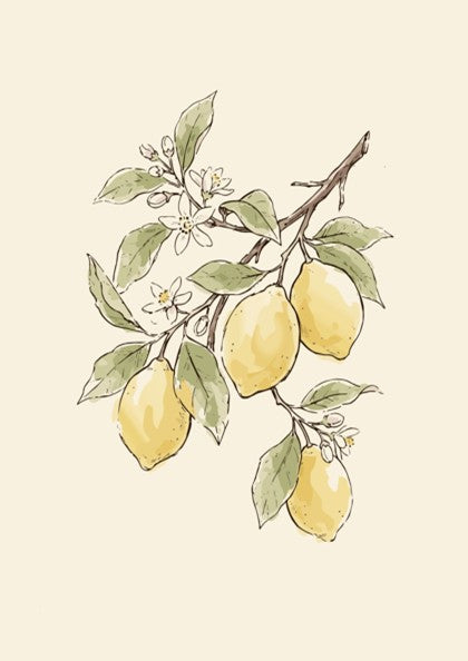 Lemon branch botanical poster featuring yellow fruit, green leaves and white blossoms on cream
