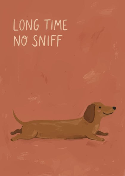 Poster featuring a brown dachshund on a warm terracotta background with white text saying Long Time No Sniff.