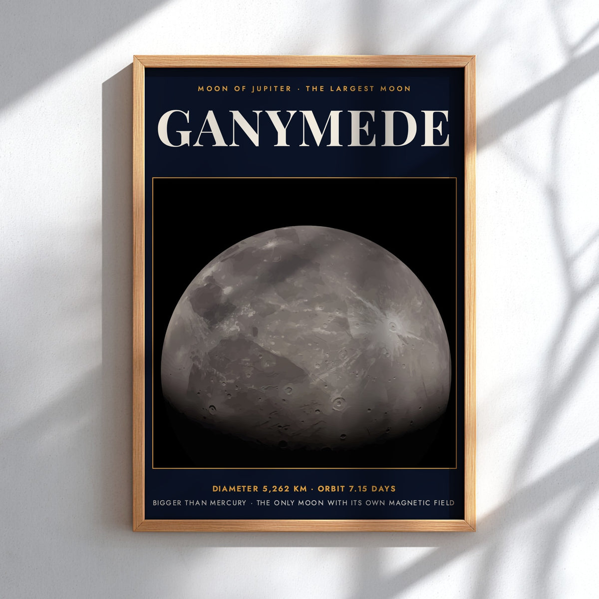Poster of Ganymede, the largest moon of Jupiter, featuring cratered grey surface and text.