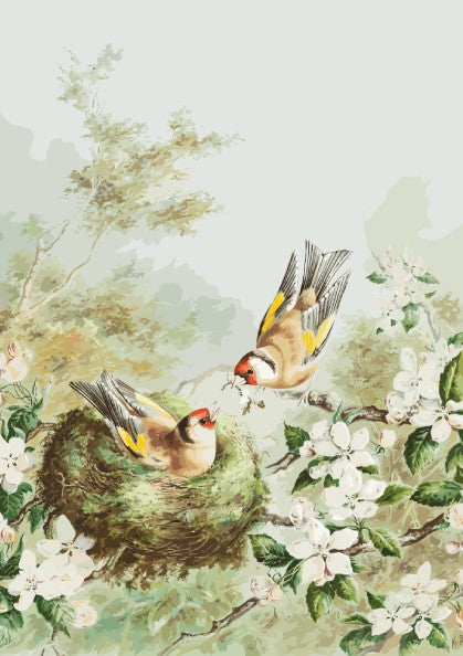 Vintage poster of Gold Finches in an apple tree nest, featuring soft greens, browns, and white blossoms.