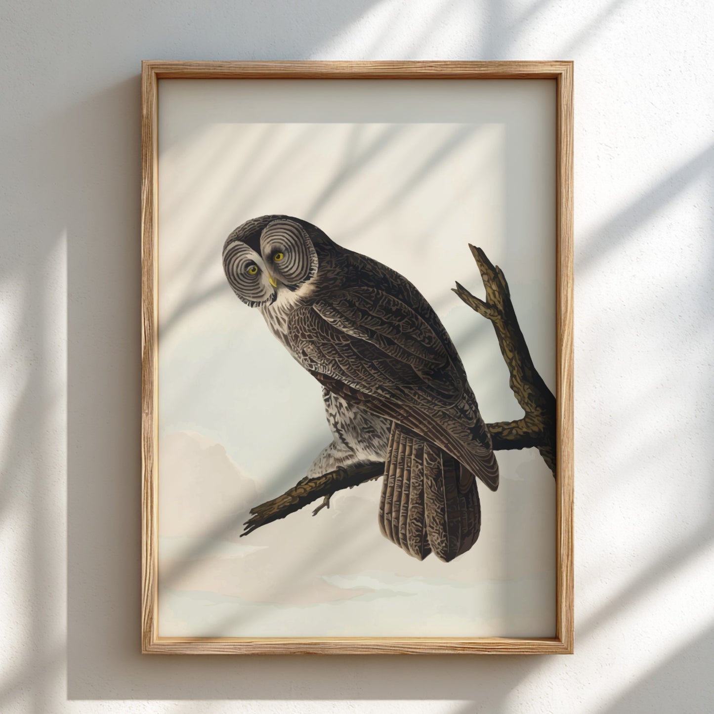 Great Cinereous Owl poster featuring vintage bird art with intricate details and natural colors