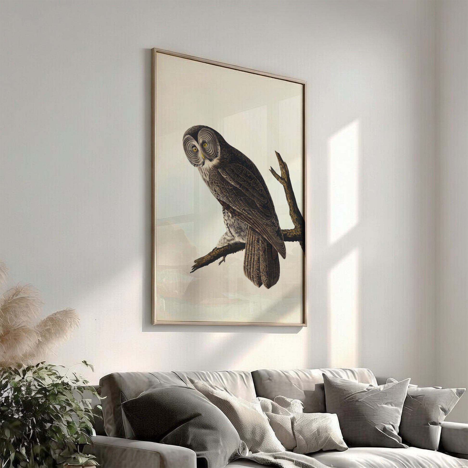 Great Cinereous Owl poster featuring vintage bird art with intricate details and natural colors