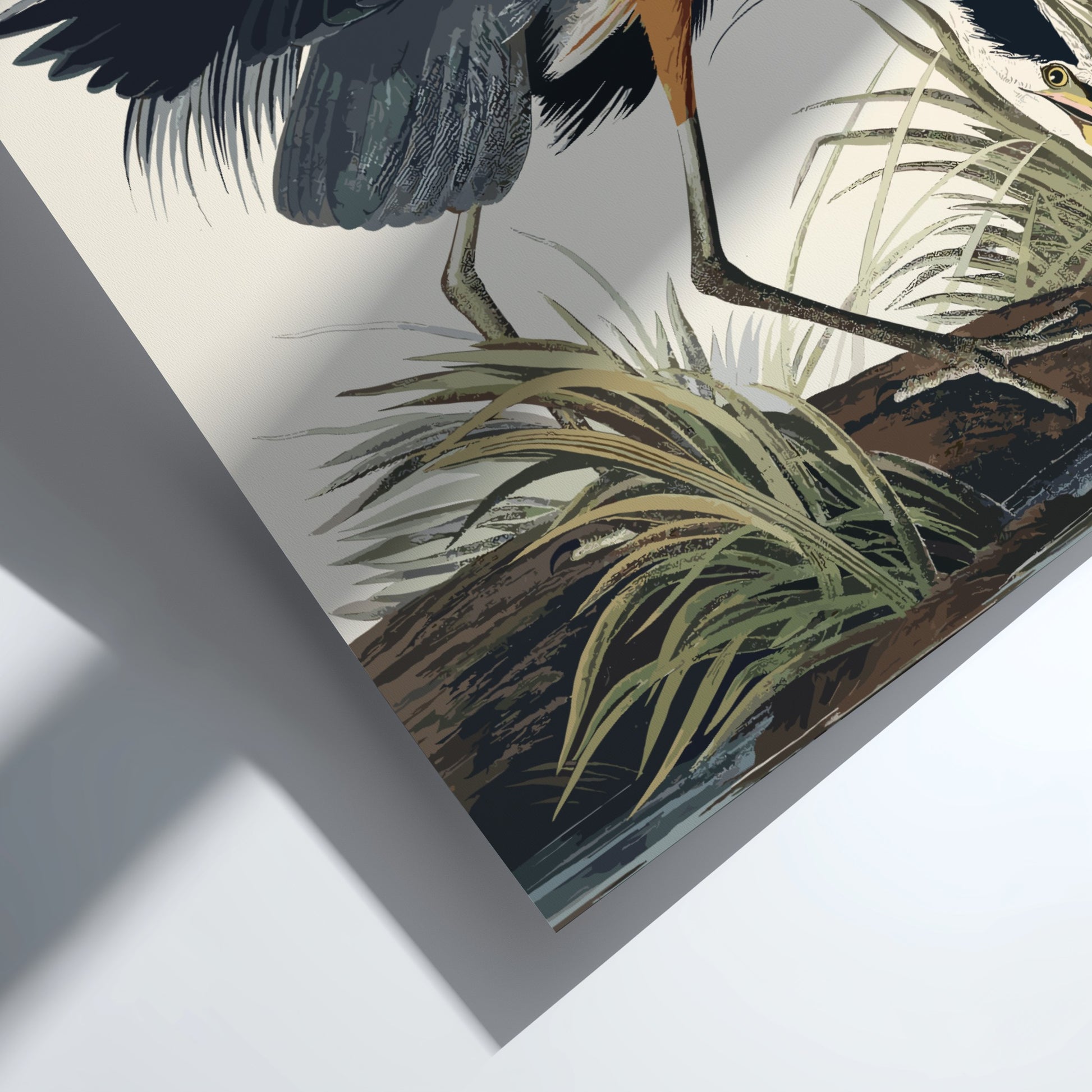 Great Blue Heron poster featuring detailed bird illustration in natural colors, perfect for nature art lovers.