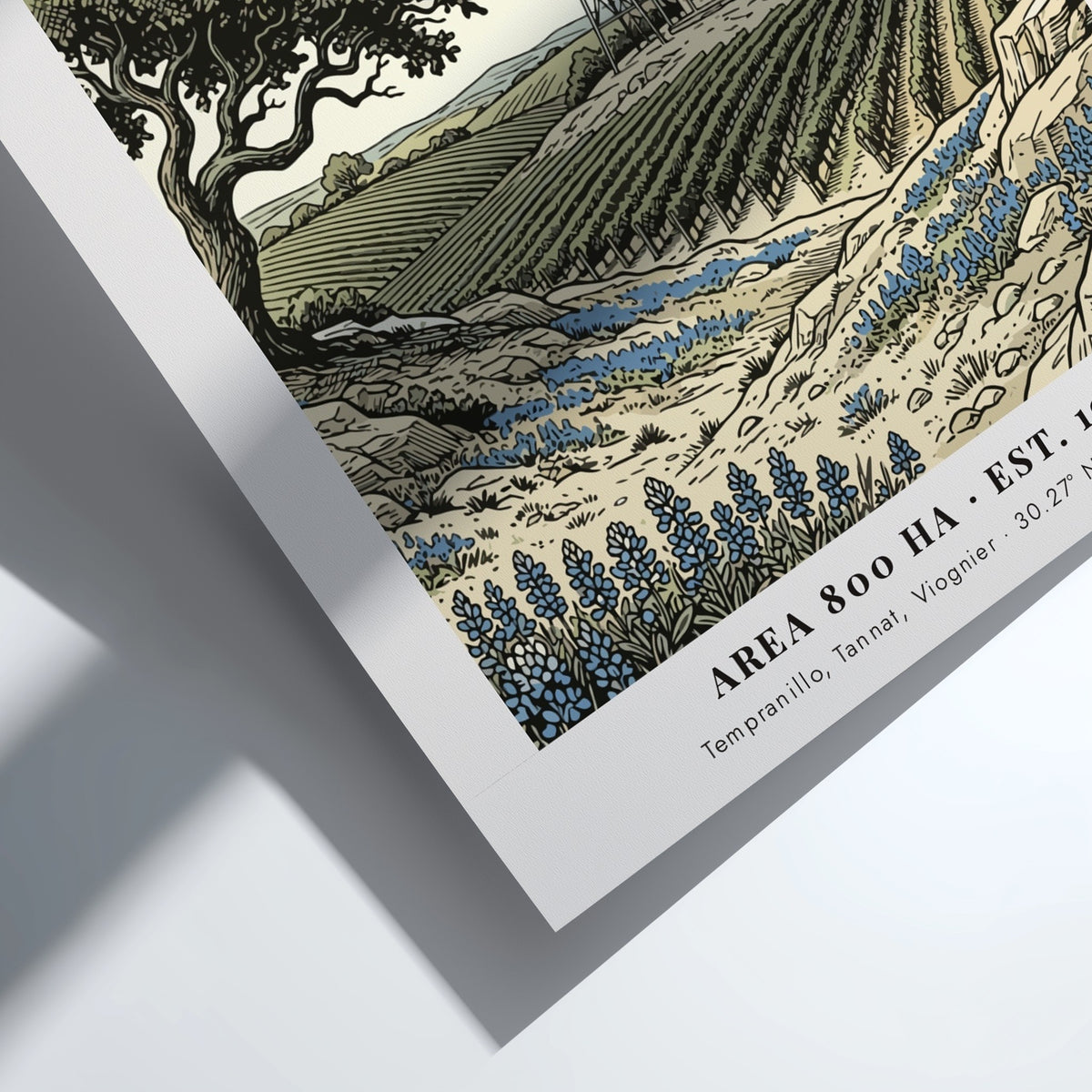 Poster featuring a Texas Hill Country vineyard with a windmill and bluebonnets illustration.