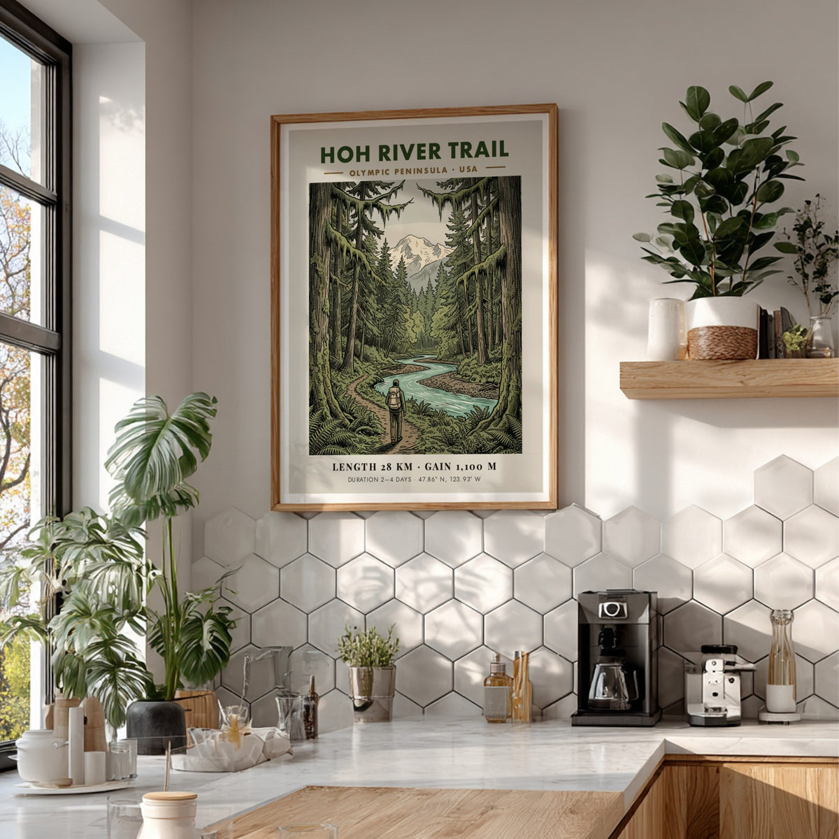 Poster of the Hoh River Trail in the Olympic Peninsula with lush trees.