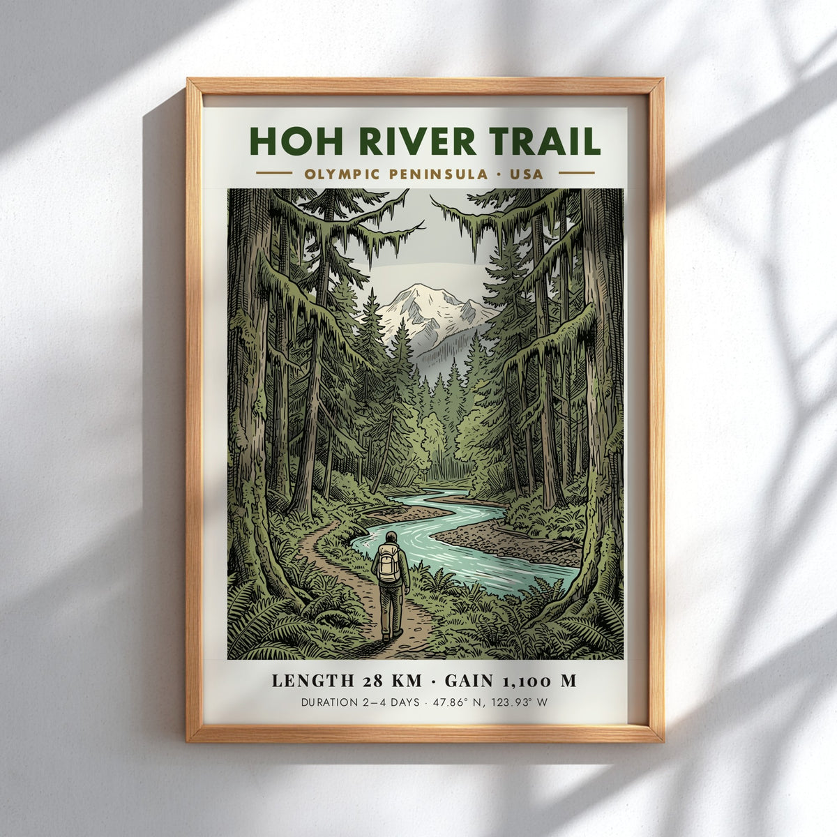 Poster of the Hoh River Trail in the Olympic Peninsula with lush trees.